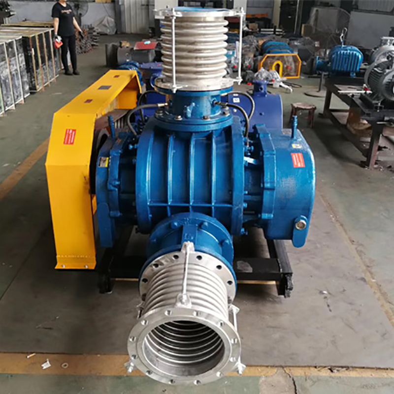  Roots blower for Tacheng sewage treatment